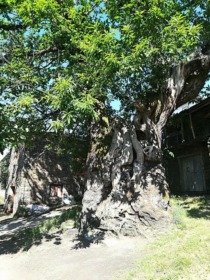 特里亚卡斯特拉 Casa Simon酒店 外观 照片